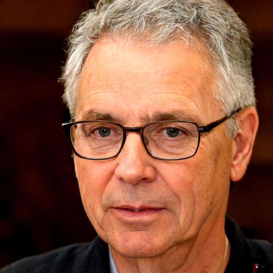 Retrato profissional de Dinis Fonseca